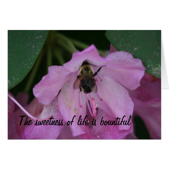 Healing Kaarten (Voorkant Horizontaal)