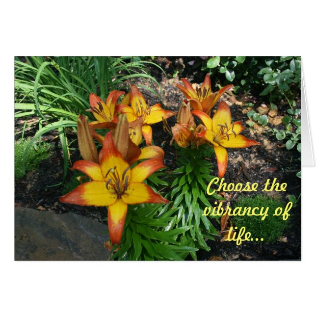 Healing Kaarten (Voorkant Horizontaal)