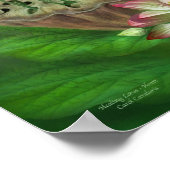 Healing Lotus - Heart Chakra Art Poster/Print Poster (Hoek)