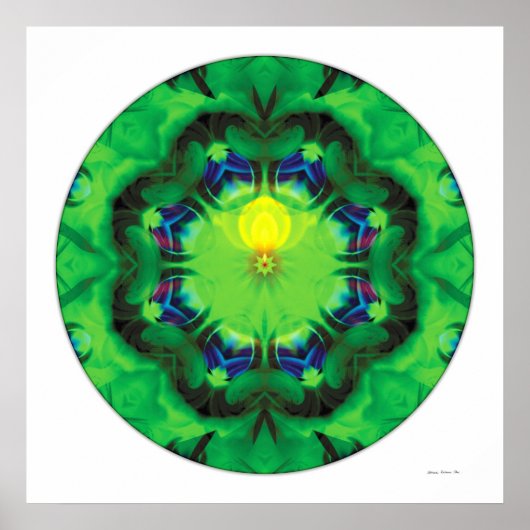 Healing Mandala 3 Poster (Voorkant)
