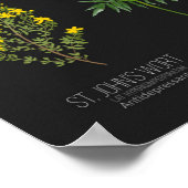 Healing Power of European Wild Flowers Herbology Poster (Hoek)