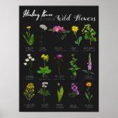 Healing Power of European Wild Flowers Herbology Poster (Voorkant)