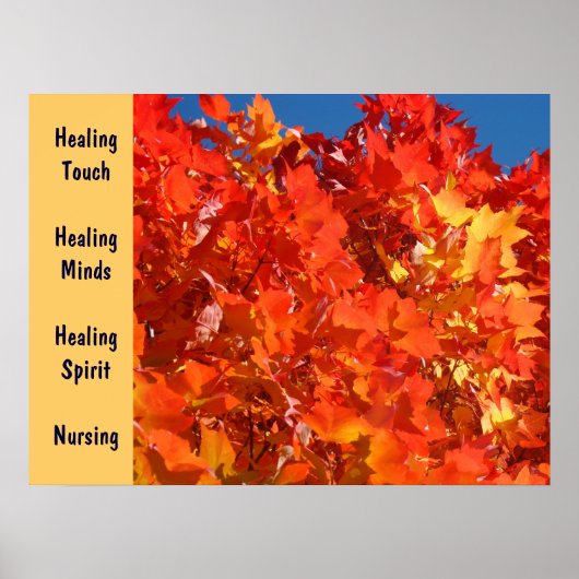 Healing Touch Healing Minds Healing Spirit Nursing Poster (Voorkant)