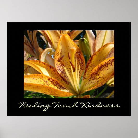 Healing Touch Kindness kunstprint Oranje Lelie Poster (Voorkant)