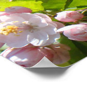 Healing Touch Verpleegsters posters Roze Bloesems (Hoek)