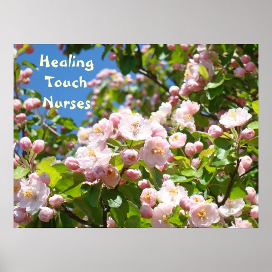 Healing Touch Verpleegsters posters Roze Bloesems (Voorkant)