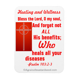 Healing Wellness Magneet