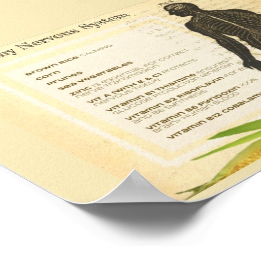 Healthy Nervous System Poster (Hoek)