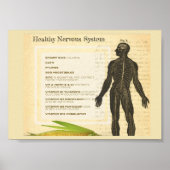 Healthy Nervous System Poster (Voorkant)