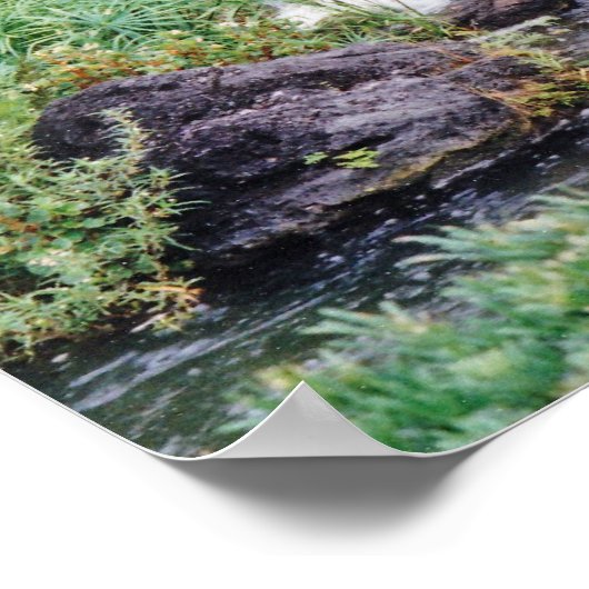 Healwater Poster (Hoek)