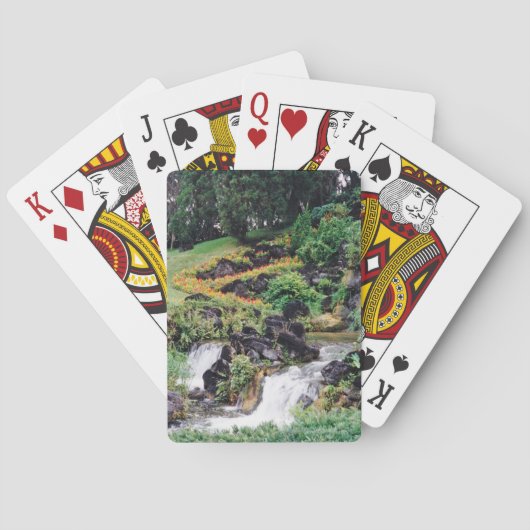 Healwater Speelkaarten (Achterkant)