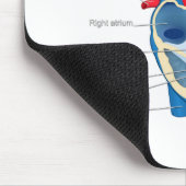 Heart_Anatomie Muismat (Hoek)