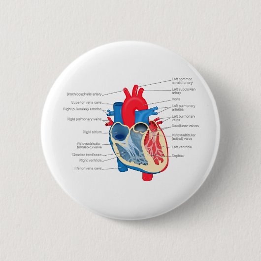Heart_Anatomie Ronde Button 5,7 Cm (Voorkant)