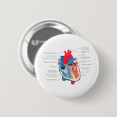 Heart_Anatomie Ronde Button 5,7 Cm (Voorkant /achterkant)