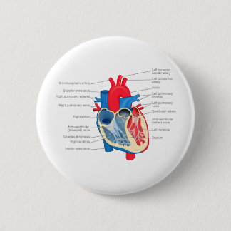 Heart_Anatomie Ronde Button 5,7 Cm