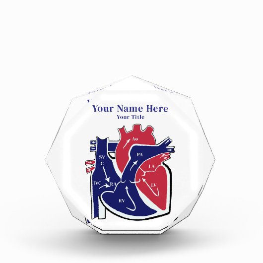 Heart Anatomy- Fotoblokken (Voorkant)