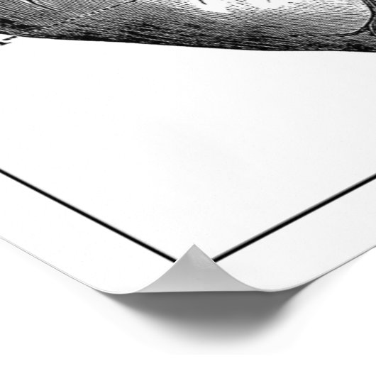 HEART ANATOMY  POSTER (Hoek)