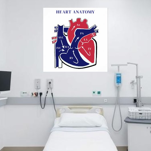 Heart Anatomy- Poster