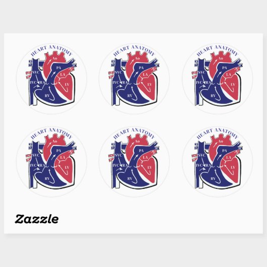 Heart Anatomy- Ronde Sticker (Vel)