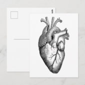 Heart Anatomy Science Briefkaart (Voorkant / Achterkant)