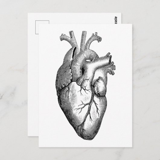 Heart Anatomy Science Briefkaart (Voorkant / Achterkant)