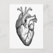 Heart Anatomy Science Briefkaart (Voorkant)