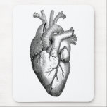 Heart Anatomy Science Muismat<br><div class="desc">ontwerp</div>