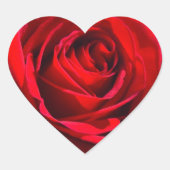 Heart Deep Red Rose Hart Sticker (Voorkant)