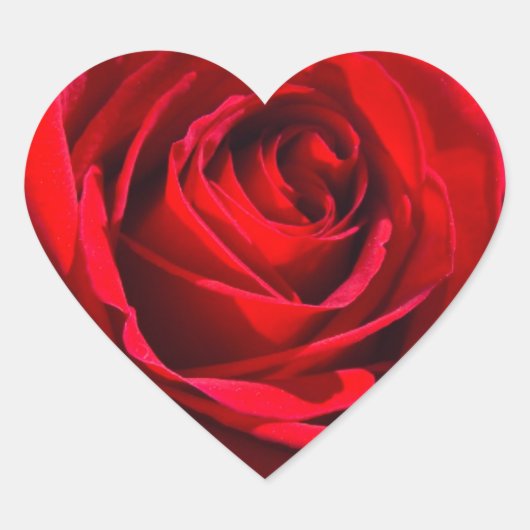 Heart Deep Red Rose Hart Sticker (Voorkant)