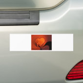 Heart Design Bumpersticker (Op auto)