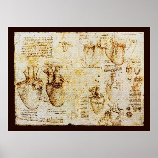 Heart en bloedvaten daarvan, Sepia Canvas Poster (Voorkant)