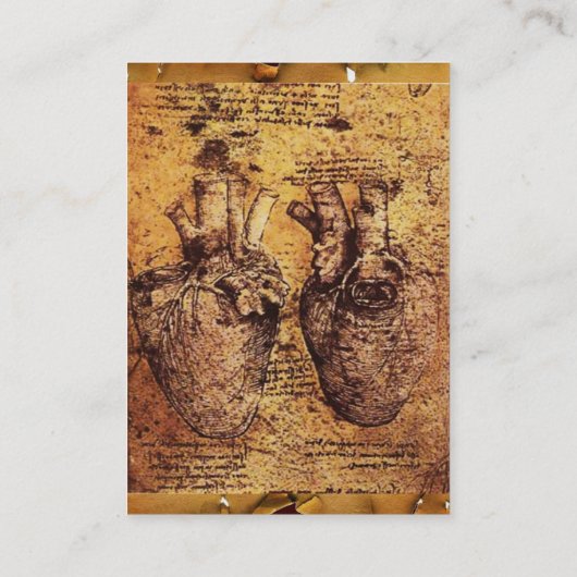 Heart en de bloedvaten Antiek perkament Visitekaartje (Achterkant)