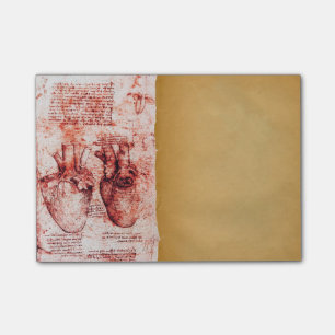 Heart en de bloedvaten, medisch perkamentrood post-it® notes