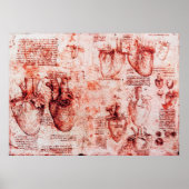 Heart en zijn bloedvaten Leonardo da Vinci, rood Poster (Voorkant)