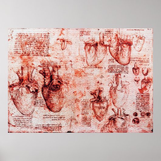 Heart en zijn bloedvaten Leonardo da Vinci, rood Poster (Voorkant)