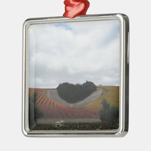 Heart Hill bij Niner Estates, in het najaar Metalen Ornament (Links)