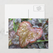 Heart Leaf Briefkaart (Voorkant / Achterkant)