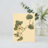 Heart-Leaved Snapdragon Botanische Illustratie Briefkaart (Staand voorkant)