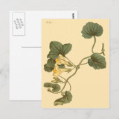 Heart-Leaved Snapdragon Botanische Illustratie Briefkaart (Voorkant / Achterkant)