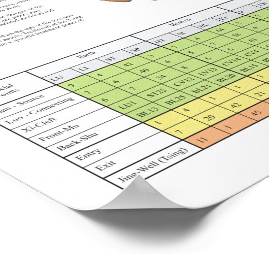 Heart Meridian Acupuncture Points Poster (Hoek)