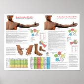 Heart Meridian Acupuncture Points Poster (Voorkant)