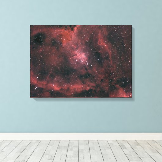 Heart Nebula Canvas Afdruk (Insitu (Houten vloer))