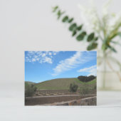 Heart of Paso Robles Wine Country Briefkaart (Staand voorkant)