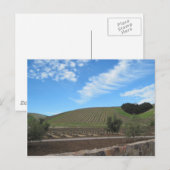 Heart of Paso Robles Wine Country Briefkaart (Voorkant / Achterkant)