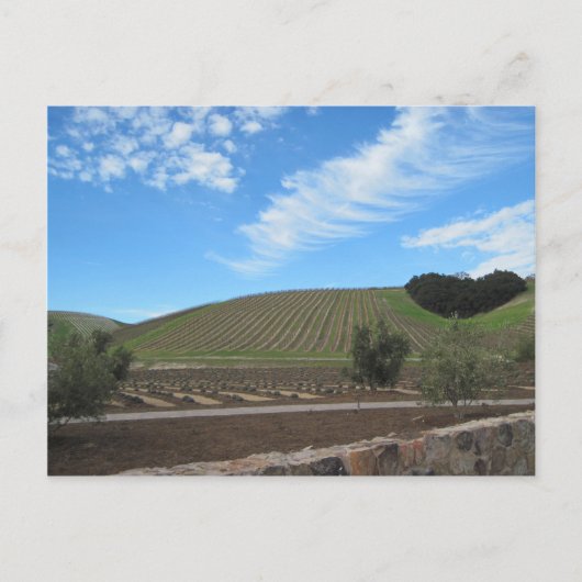 Heart of Paso Robles Wine Country Briefkaart (Voorkant)