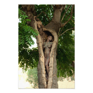 Heart of the Tree by Johannes Stötter Foto Afdruk