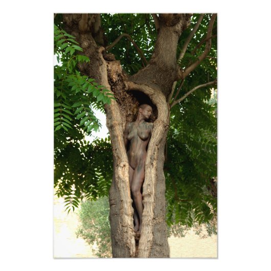 Heart of the Tree by Johannes Stötter Foto Afdruk (Voorkant)