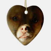 Heart Ornament met een Chihuahua Pomeranian mix (Rechts)