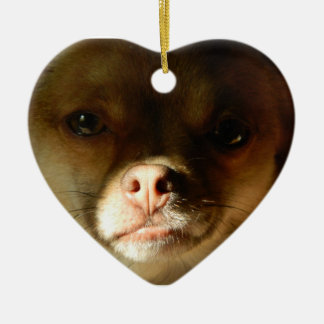 Heart Ornament met een Chihuahua Pomeranian mix