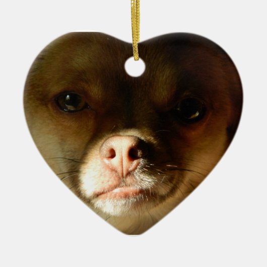 Heart Ornament met een Chihuahua Pomeranian mix (Voorkant)
